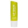 Balsam de Buze Ushas Lip Balm Natural Care #01