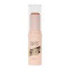 Concealer Stick Ushas #05