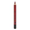 Creion Contur Buze Kiss Beauty Velvet Lips, #31