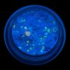 Paiete Unghii Neon Fluorescent LUXORISE, Blue