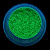 Pigment Unghii Neon LUXORISE, Green