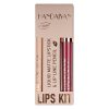 Set 2 in 1 Ruj Lichid Mat & Creion Contur Buze Handaiyan Lips Kit #10