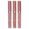 Set 3 Rujuri Lichide Mate Ranee Matte Liquid Lipstick #B