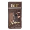 Stampila Sprancene 3 in 1 cu Pensula & Sabloane Ushas Flawless Brow #01